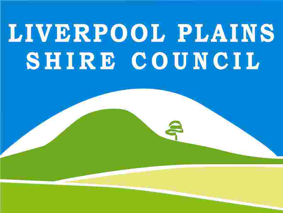 Council Logo