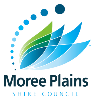 Council Logo