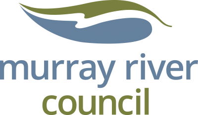 Council Logo