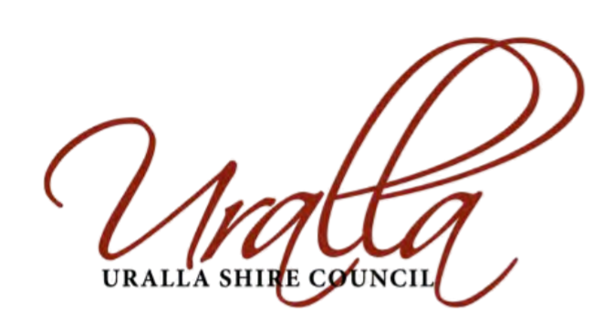 Council Logo