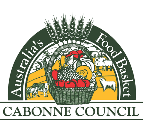 Council Logo
