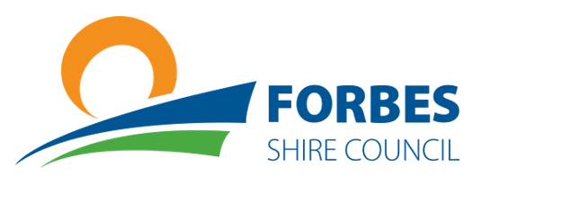 Council Logo