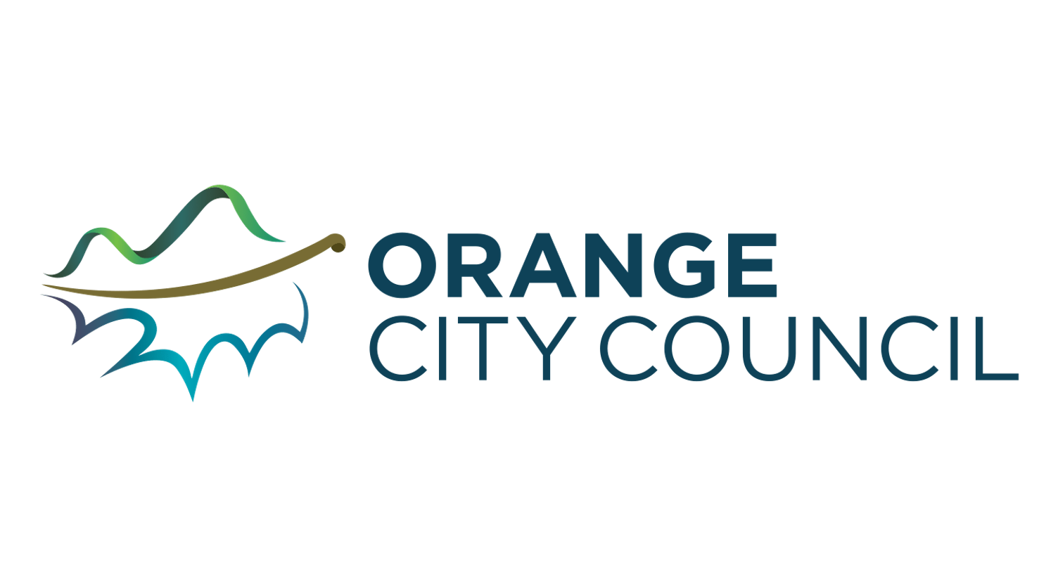 Council Logo